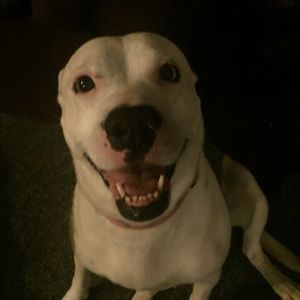 Meet your Posher, Tara